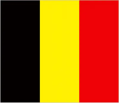 This image shows the flag of Belgium, Europe. For more details of the flag of Belgium, please see this page below.