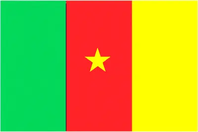 This image shows the flag of Cameroon, Africa. For more details of the flag of Cameroon, please see this page below.
