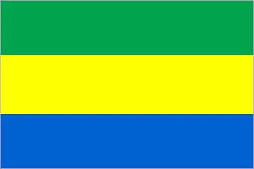 This image shows the flag of Gabon, Africa. For more details of the flag of Gabon, please see this page below.
