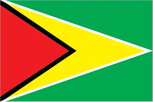 This image shows the flag of Guyana, South America. For more details of the flag of Guyana, please see this page below.