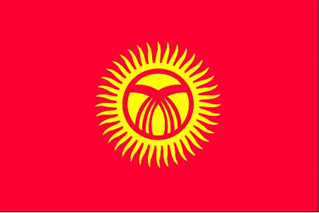 This image shows the flag of Kyrgyzstan, Asia. For more details of the flag of Kyrgyzstan, please see this page below.
