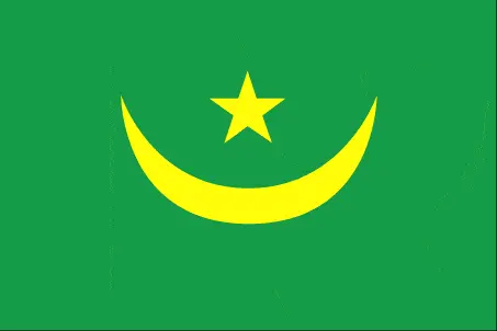 This image shows the flag of Mauritania, Africa. For more details of the flag of Mauritania, please see this page below.
