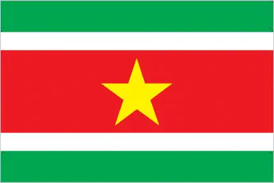 This image shows the flag of Suriname, South America. For more details of the flag of Suriname, please see this page below.