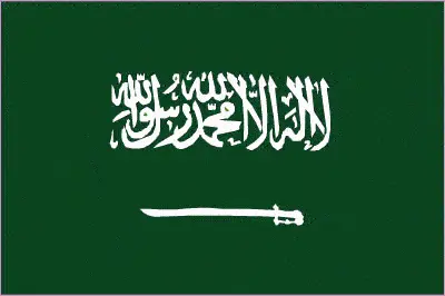 This image shows the flag of Saudi Arabia, Middle East. For more details of the flag of Saudi Arabia, please see this page below.