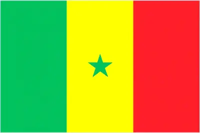 This image shows the flag of Senegal, Africa. For more details of the flag of Senegal, please see this page below.