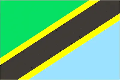 This image shows the flag of Tanzania, Africa. For more details of the flag of Tanzania, please see this page below.