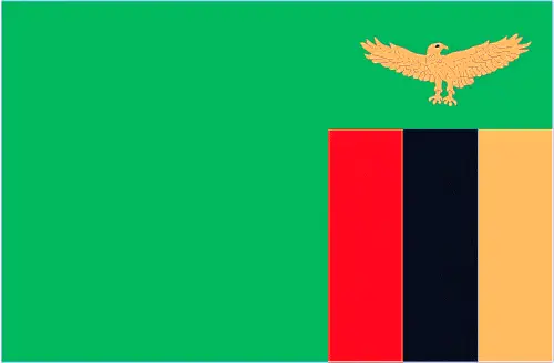 This image shows the flag of Zambia, Africa. For more details of the flag of Zambia, please see this page below.