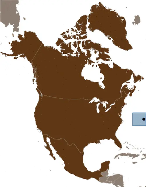 This image shows the location of Bermuda, North America. For more geographical details of Bermuda, please see this page below.
