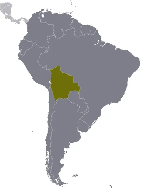 This image shows the location of Bolivia, South America. For more geographical details of Bolivia, please see this page below.