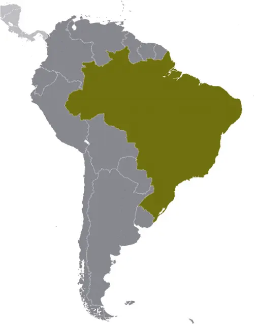 This image shows the location of Brazil, South America. For more geographical details of Brazil, please see this page below.
