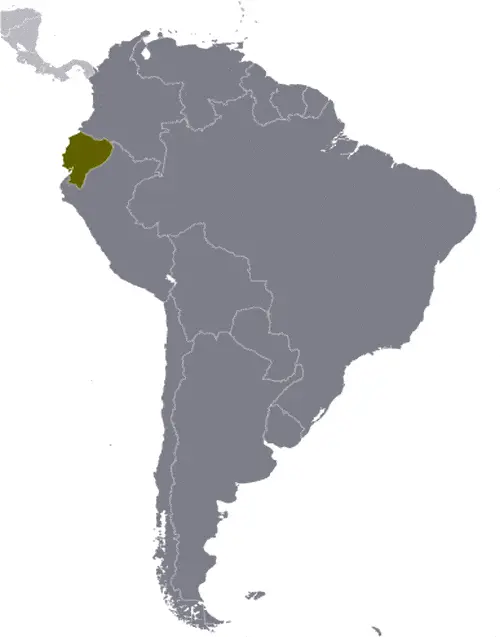 This image shows the location of Ecuador, South America. For more geographical details of Ecuador, please see this page below.