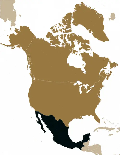 This image shows the location of Mexico, North America. For more geographical details of Mexico, please see this page below.
