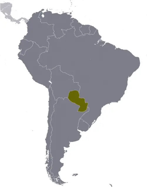 This image shows the location of Paraguay, South America. For more geographical details of Paraguay, please see this page below.