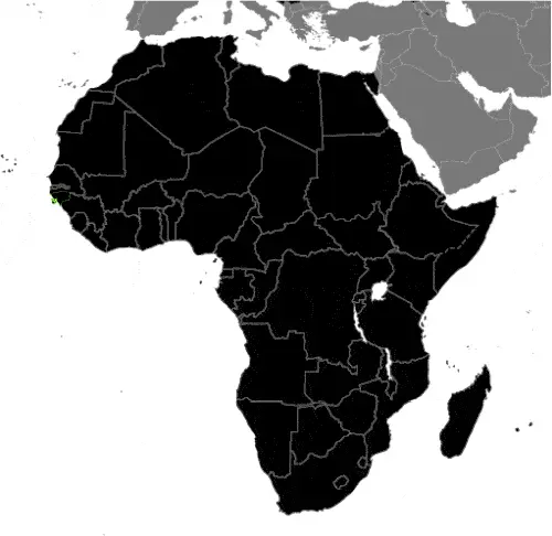 This image shows the location of Guinea-Bissau, Africa. For more geographical details of Guinea-Bissau, please see this page below.