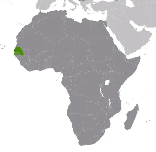 This image shows the location of Senegal, Africa. For more geographical details of Senegal, please see this page below.