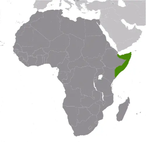 This image shows the location of Somalia, Africa. For more geographical details of Somalia, please see this page below.